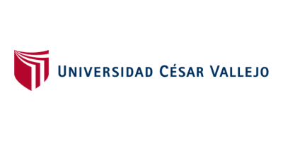 Cliente PLAMVEX 17